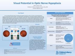 Visual Potential in Optic Nerve Hypoplasia